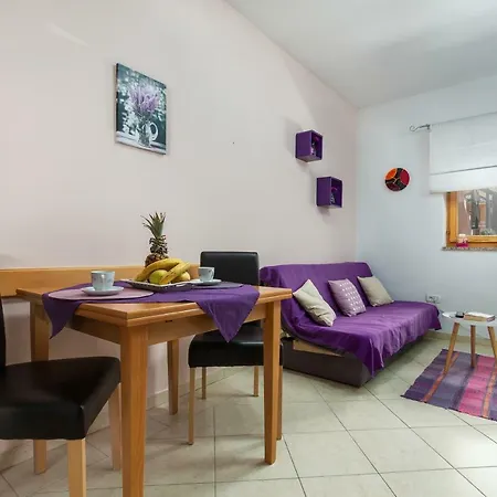 Sunny Apartment Valbandon Fažana Zewnętrze zdjęcie