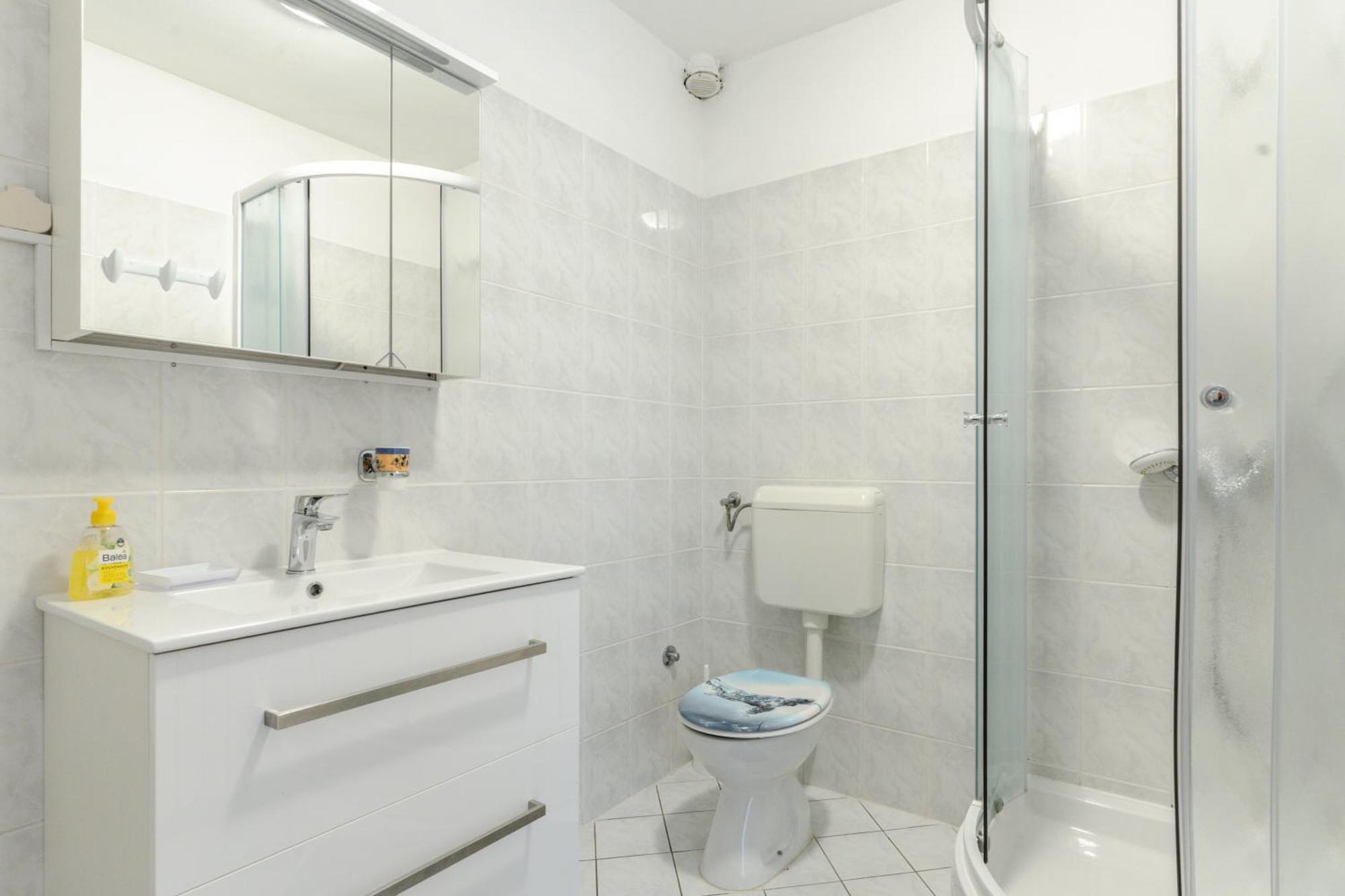 Apartment Sunny Valbandon